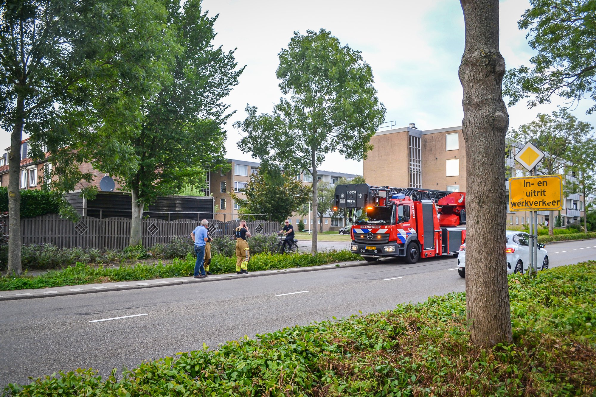 Aziatisch hoornaarsnest aangetroffen in Purmerend