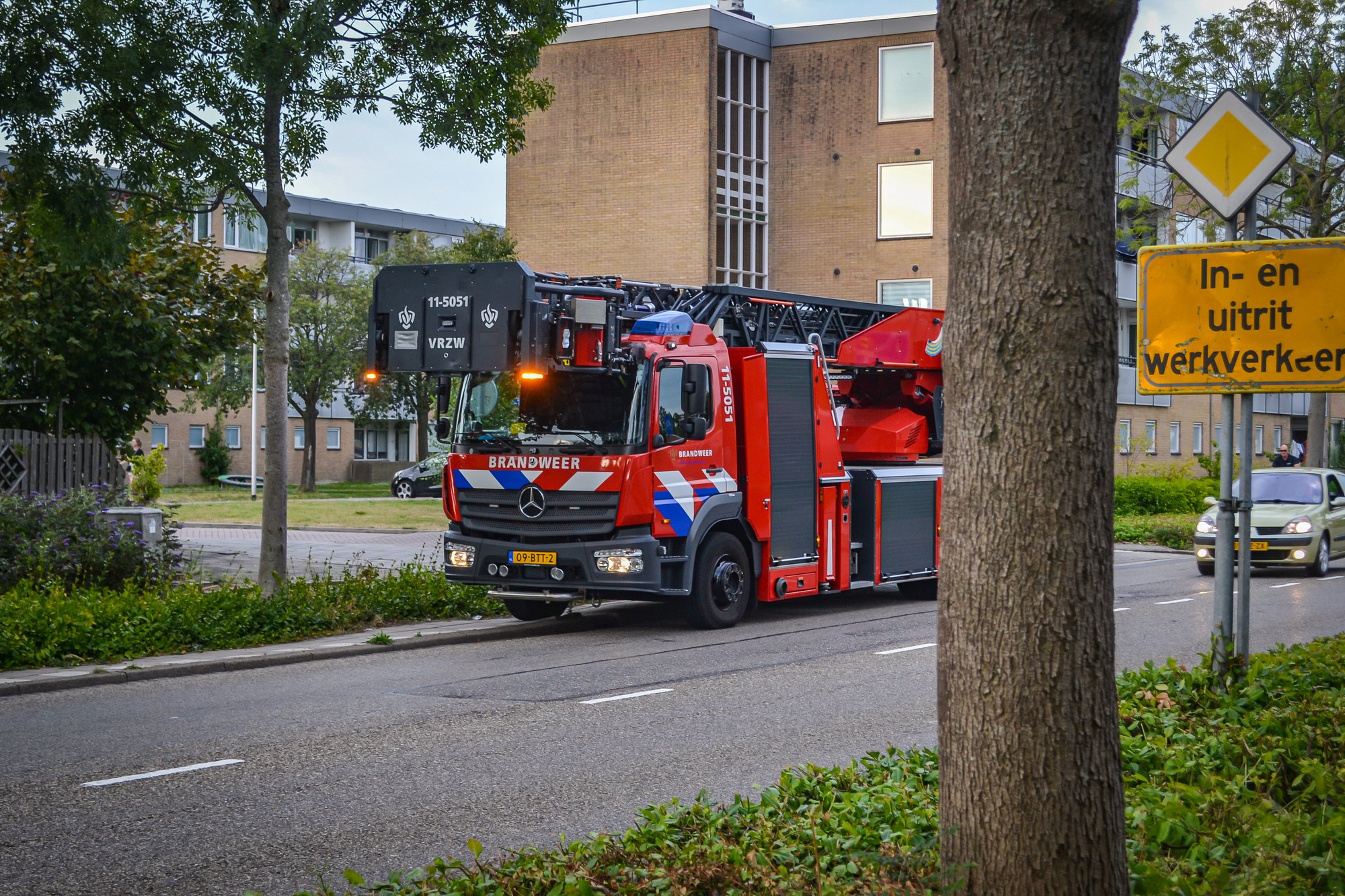 Aziatisch hoornaarsnest aangetroffen in Purmerend