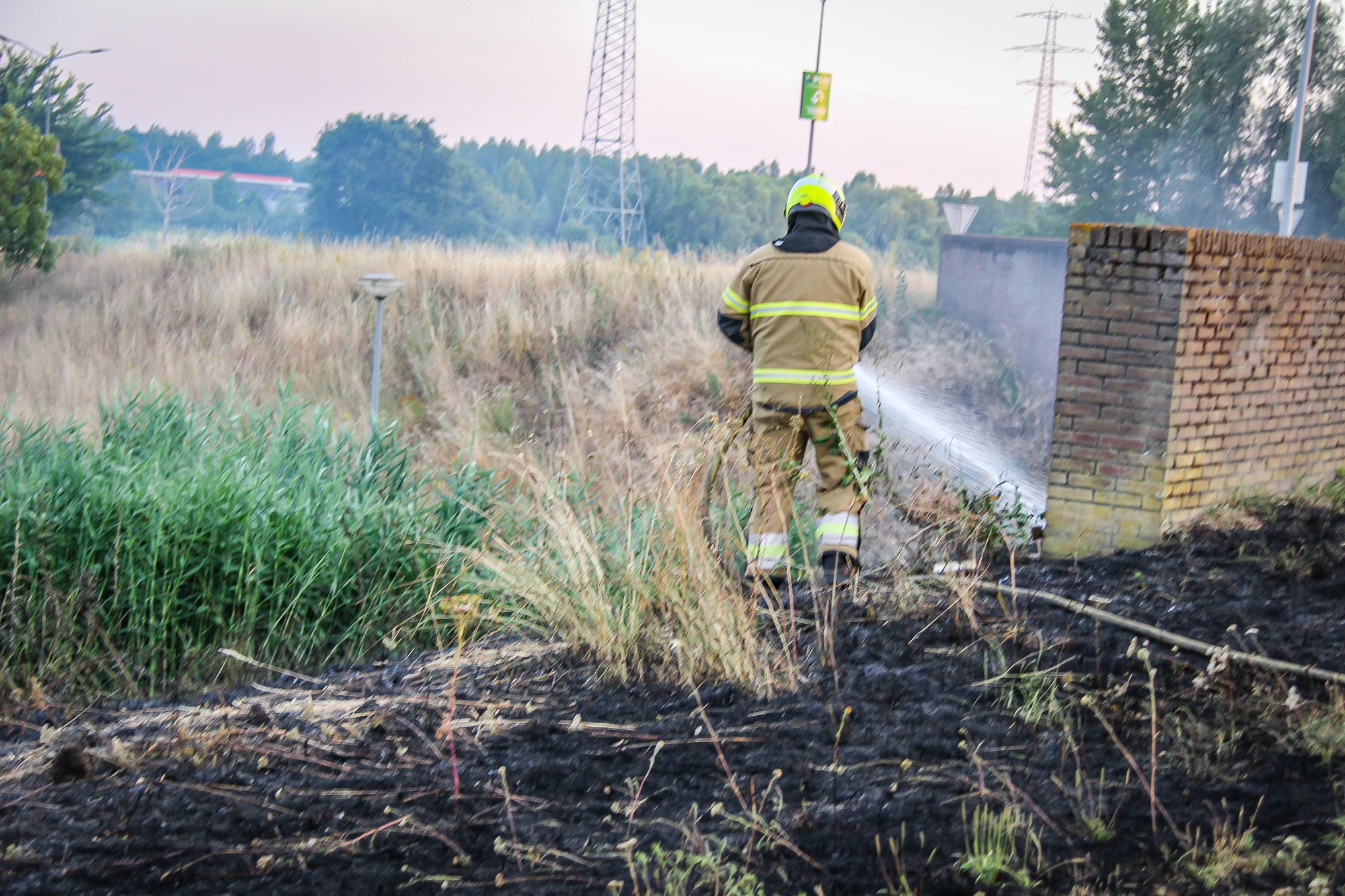 Bermbrand snel geblust aan Het Hooghemaal in Rosmalen
