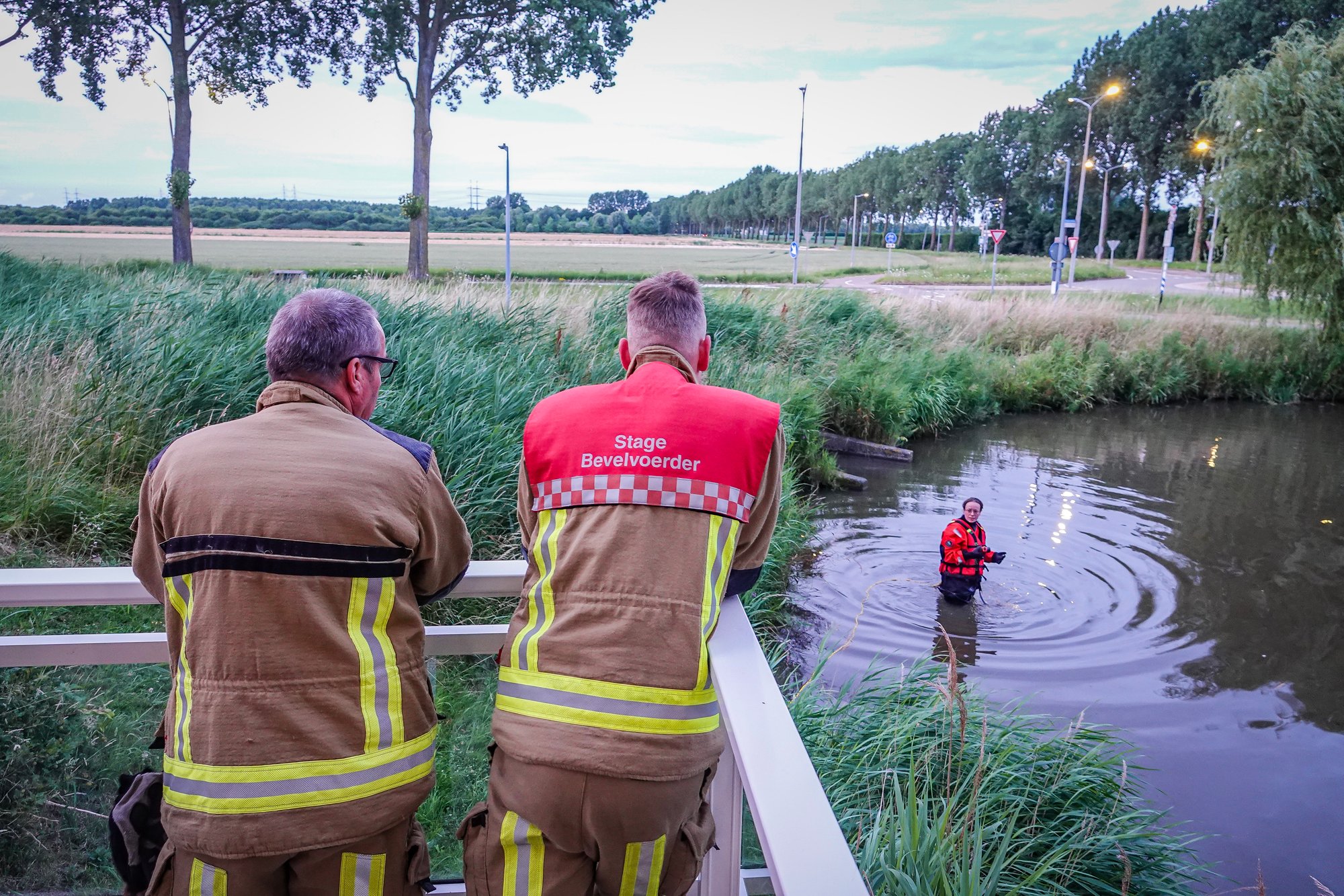 Brandweer redt vijf baby-eendjes uit tunnel in Lisserbroek