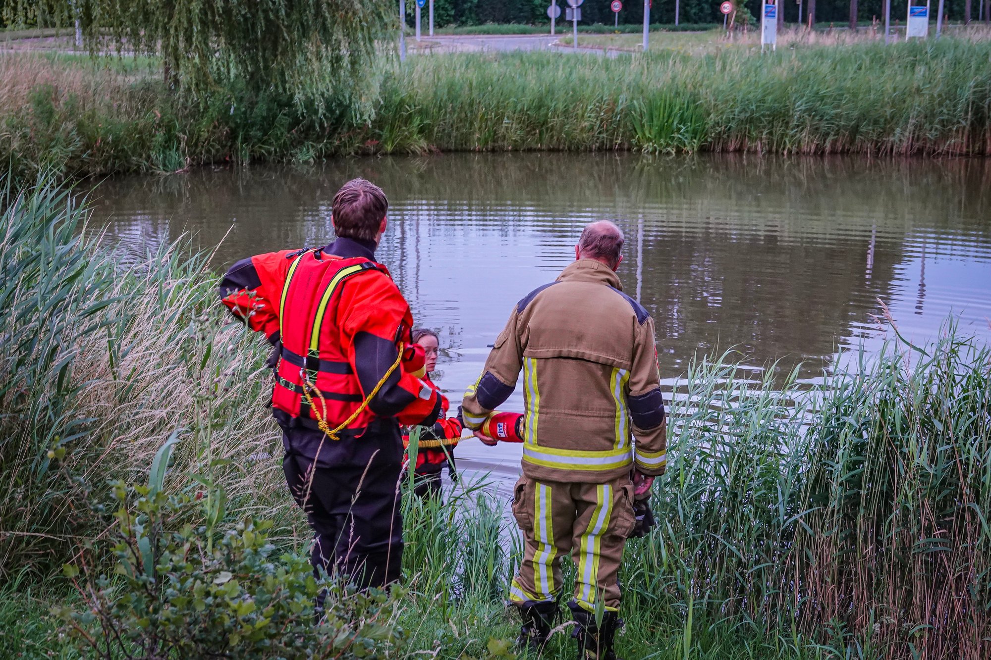 Brandweer redt vijf baby-eendjes uit tunnel in Lisserbroek
