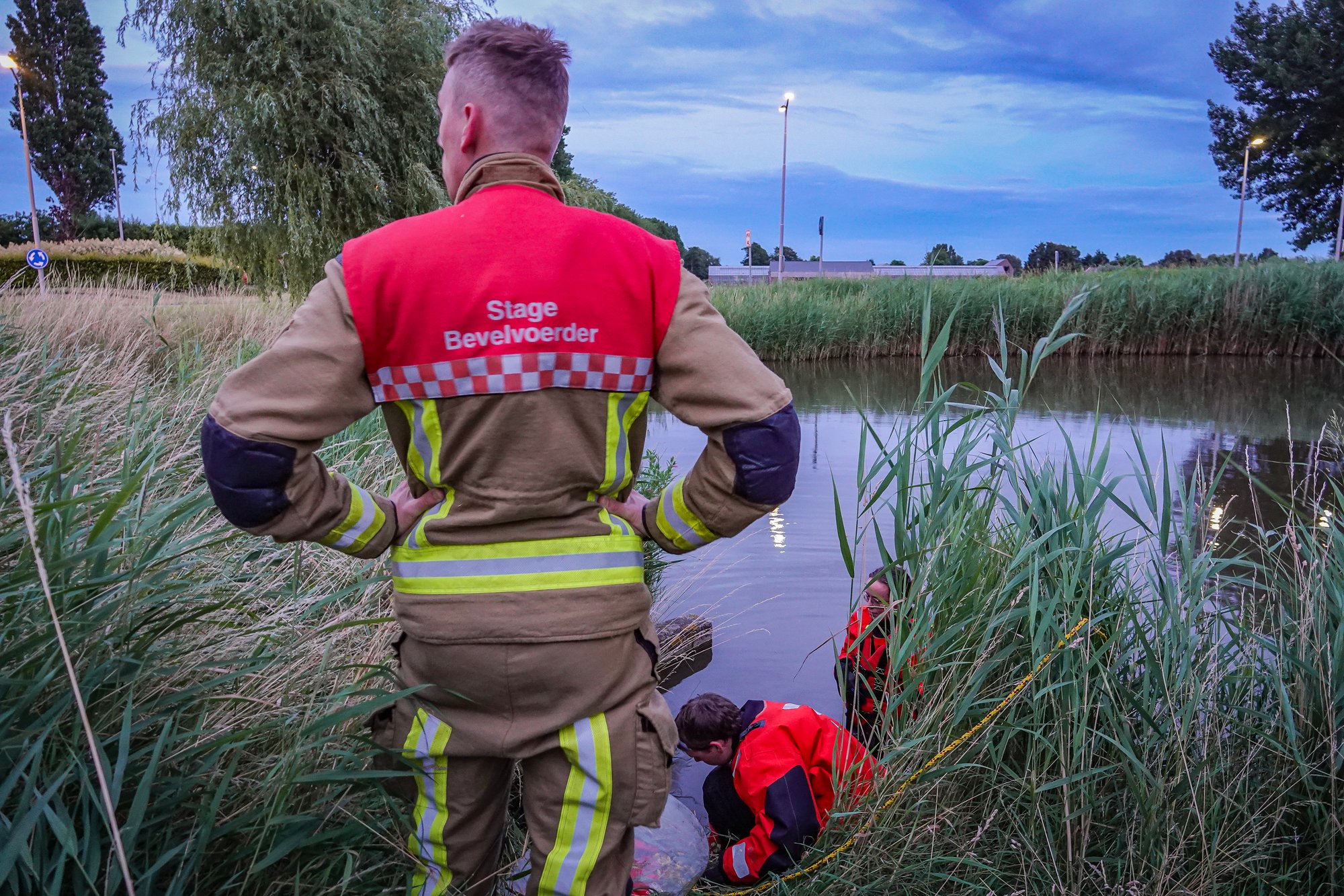 Brandweer redt vijf baby-eendjes uit tunnel in Lisserbroek