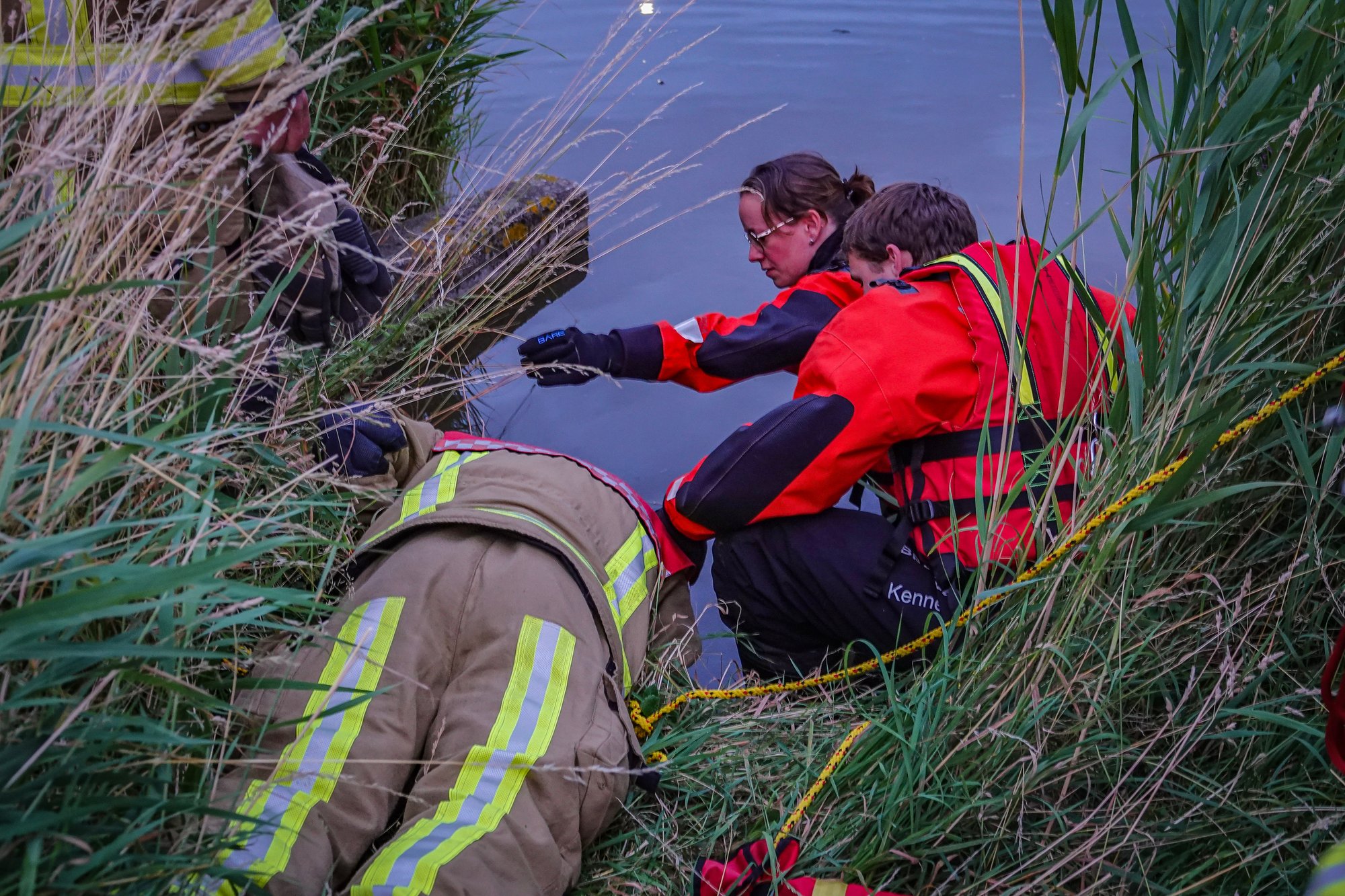 Brandweer redt vijf baby-eendjes uit tunnel in Lisserbroek