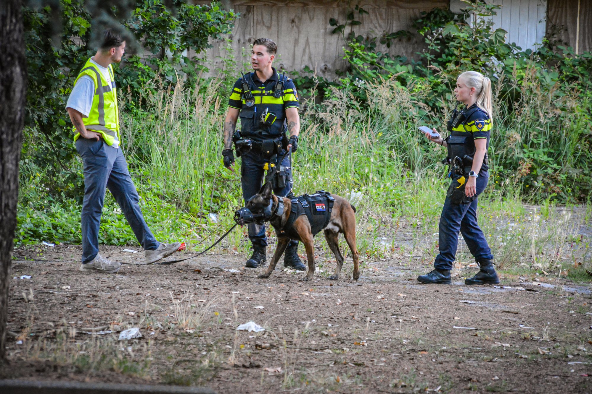 Inbraak spuiweg dordrecht meerdere verdachte met mogelijk vuurwapen op vlucht zulu vloog boven Dordrecht hond ingezet