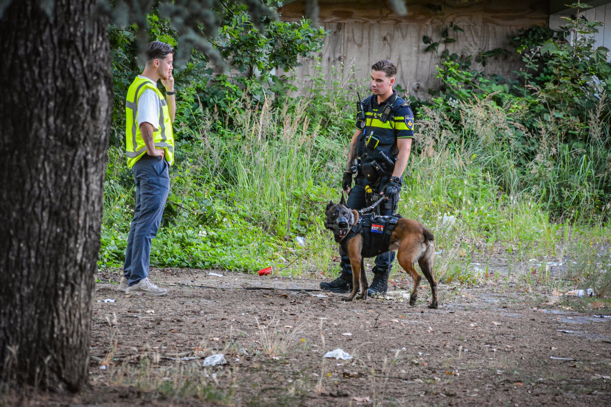 Inbraak spuiweg dordrecht meerdere verdachte met mogelijk vuurwapen op vlucht zulu vloog boven Dordrecht hond ingezet