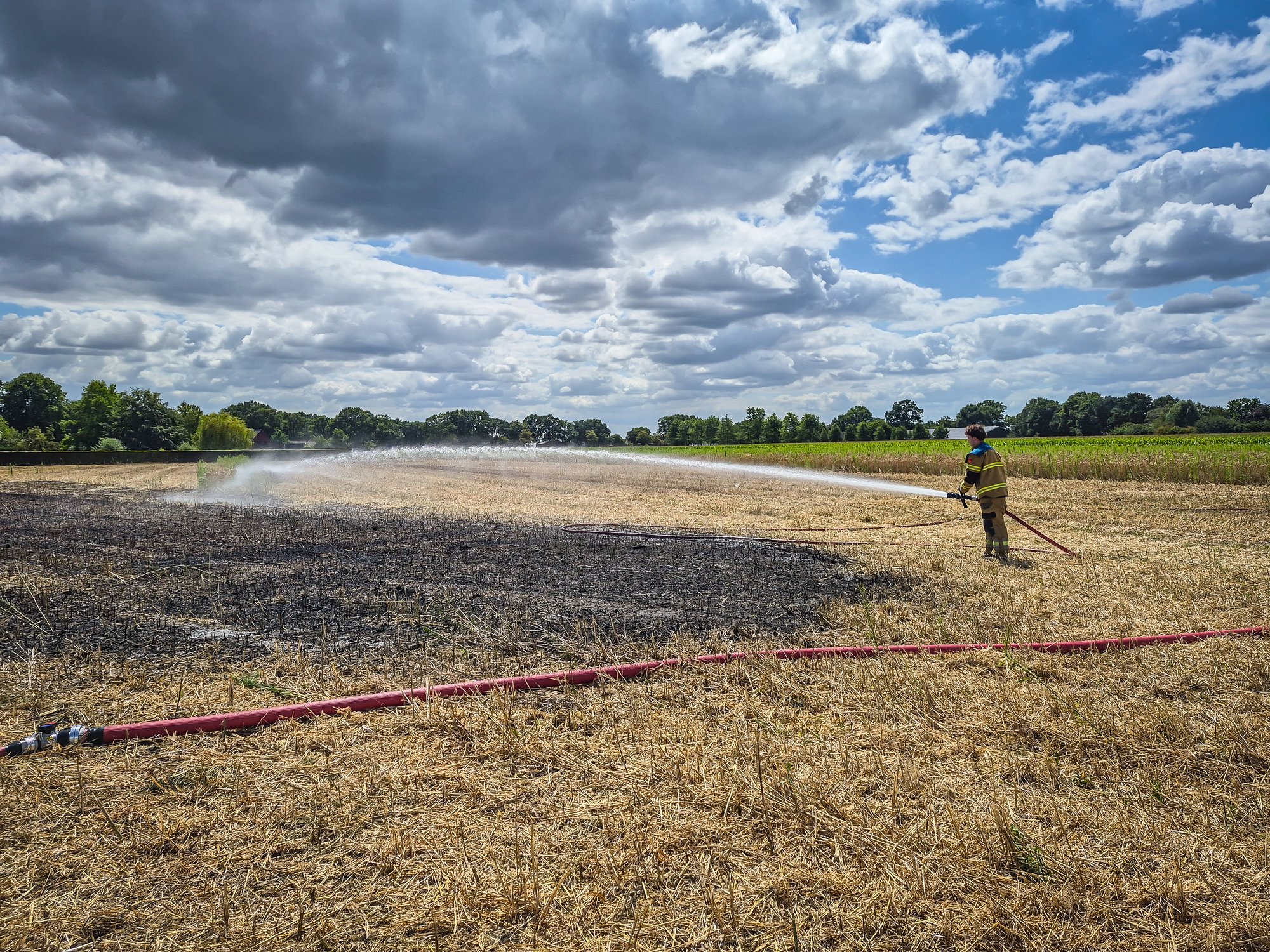 Ongeveer 300 vierkante meter tarweveld afgebrand bij brand in Boekel