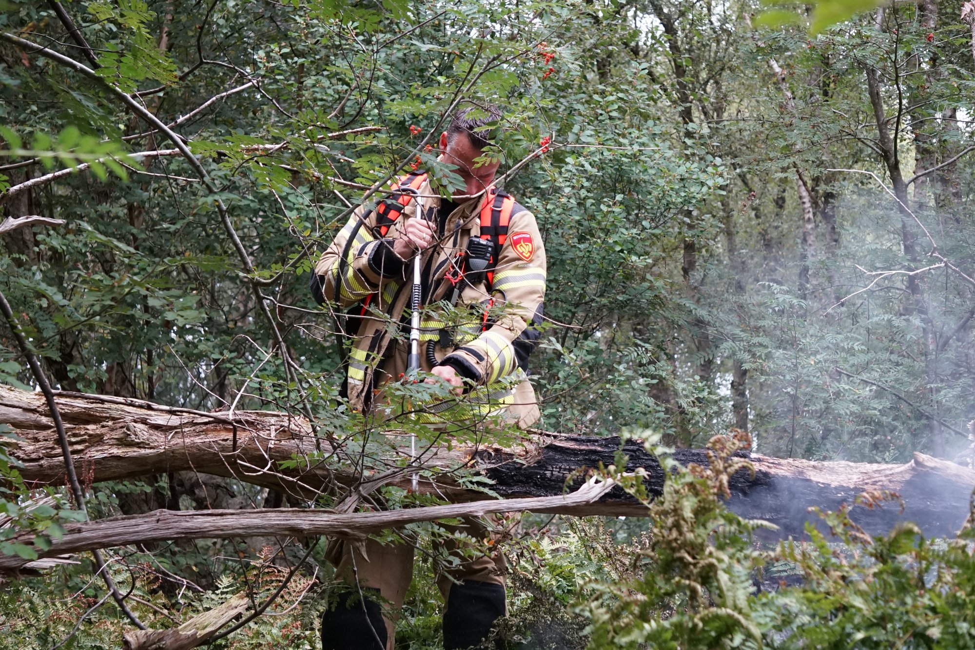 Bosbrand uitgebroken langs Rondweg bij Emmerschans