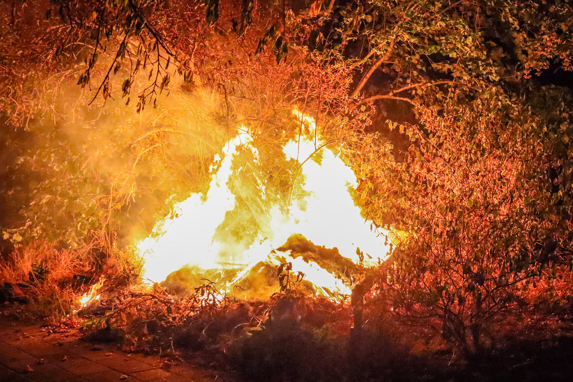 Brand in begroeiing bij Eebrug in Leeuwarden