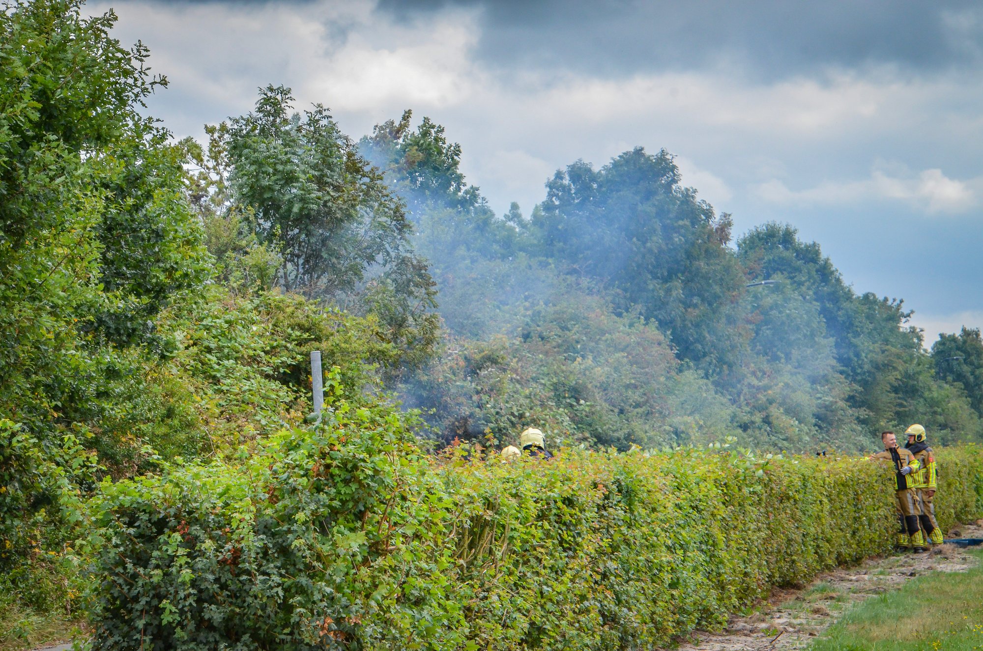 Brand in bosjes aan Sportweg in Heerenveen snel geblust