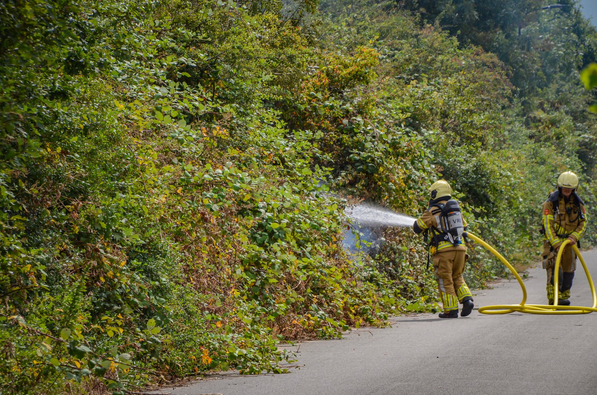 Brand in bosjes aan Sportweg in Heerenveen snel geblust