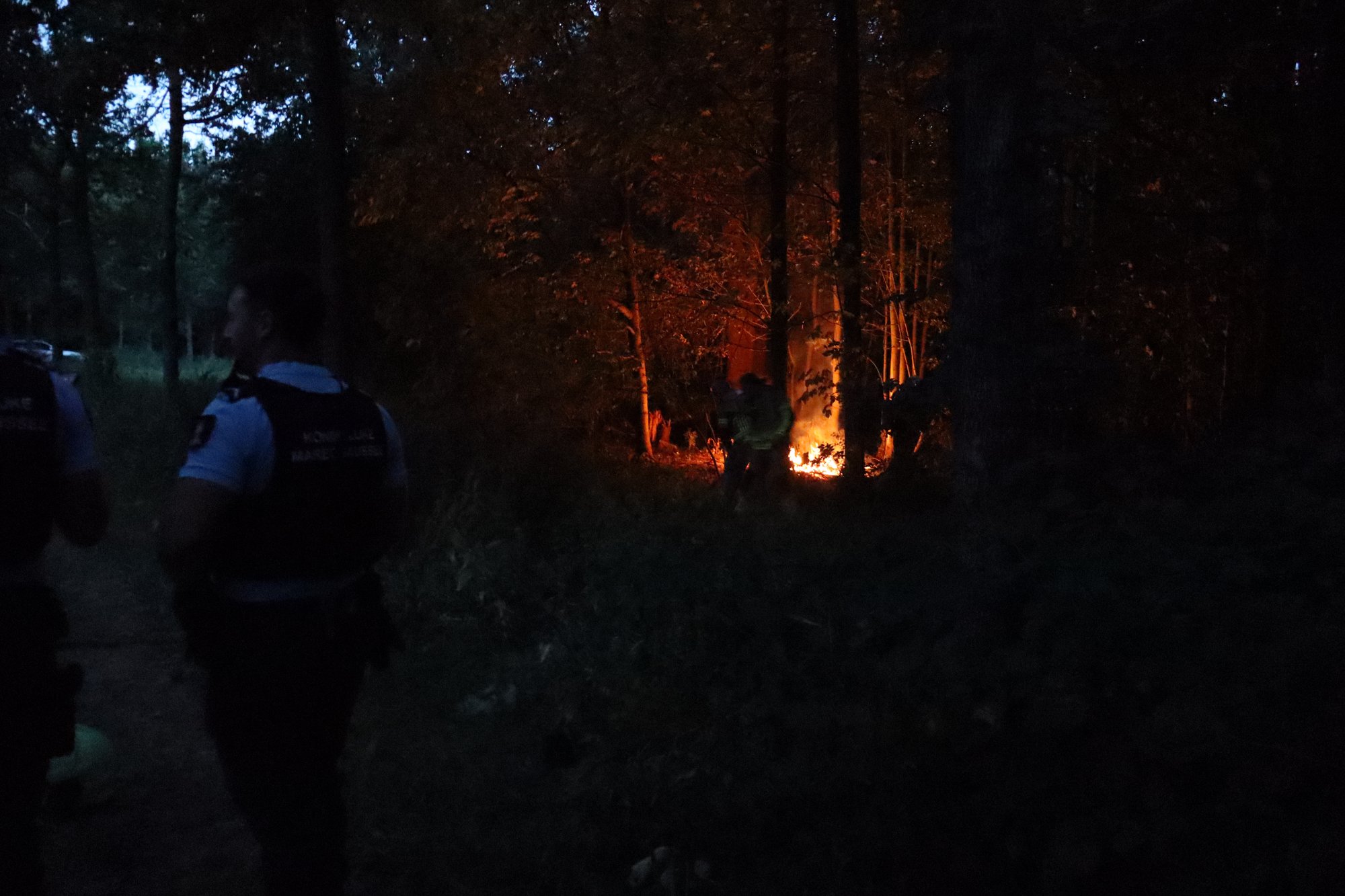 Brand uitgebroken in bos aan Philibert Grimaudpad in Leeuwarden