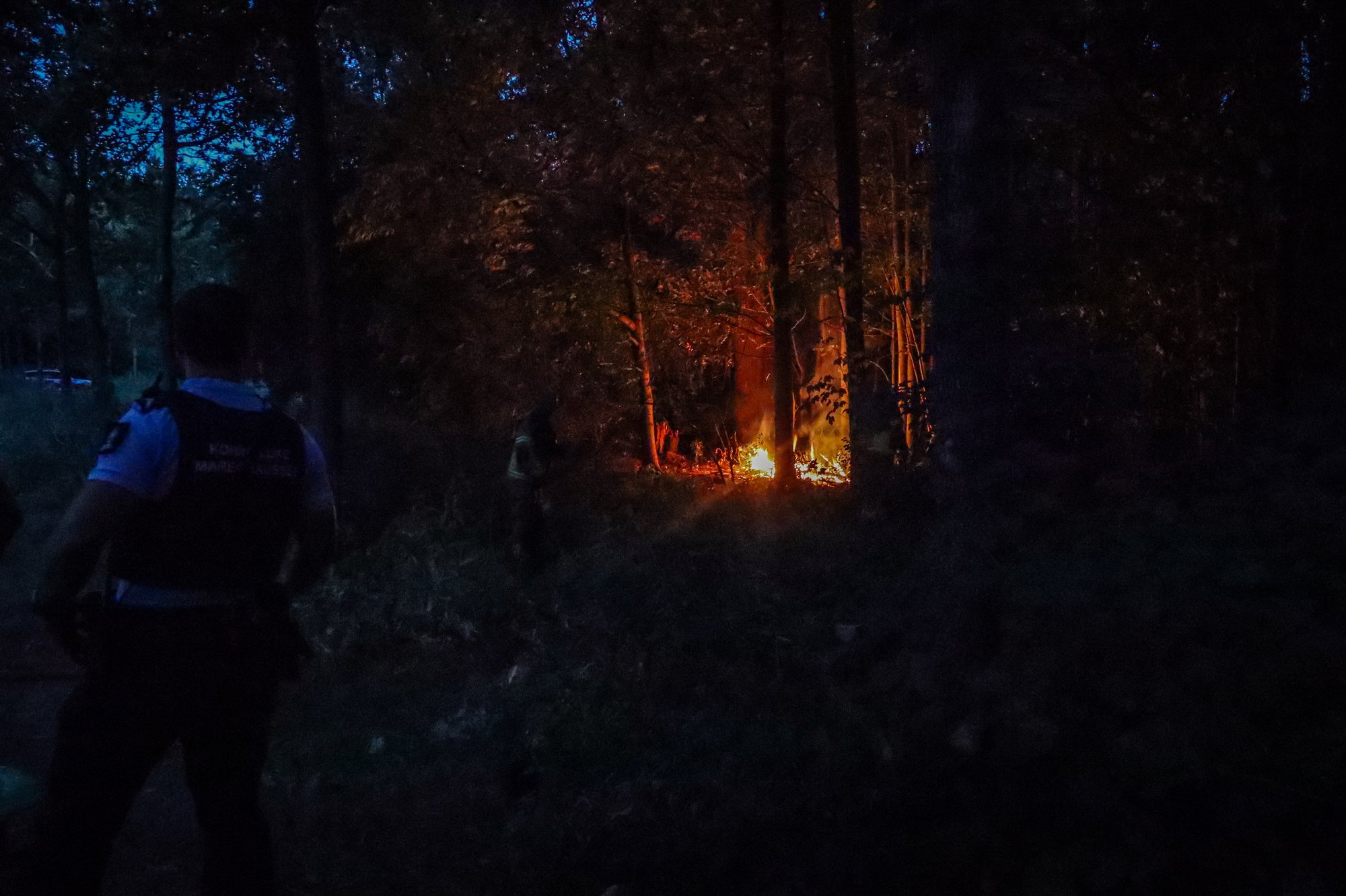 Brand uitgebroken in bos aan Philibert Grimaudpad in Leeuwarden