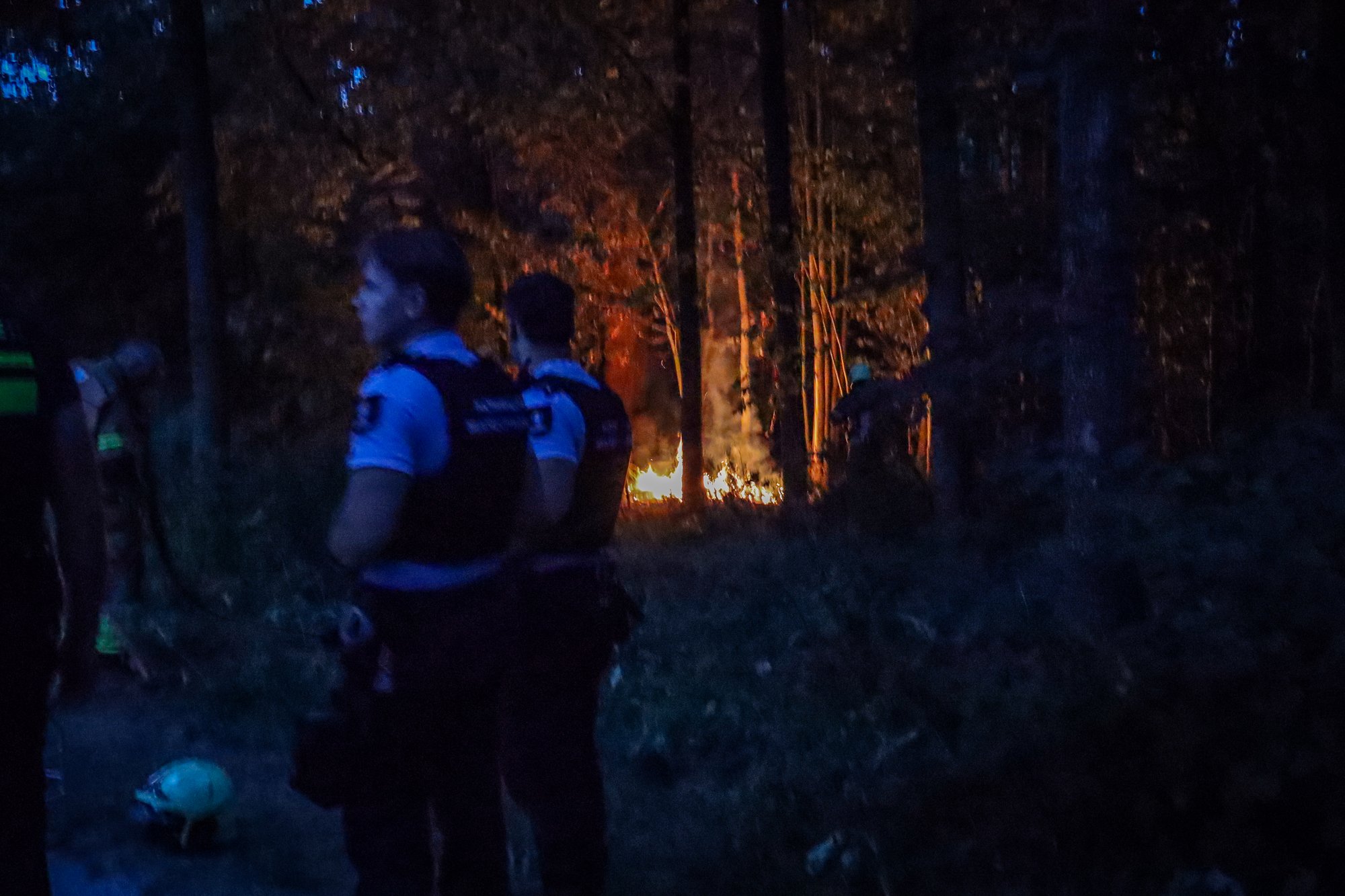 Brand uitgebroken in bos aan Philibert Grimaudpad in Leeuwarden