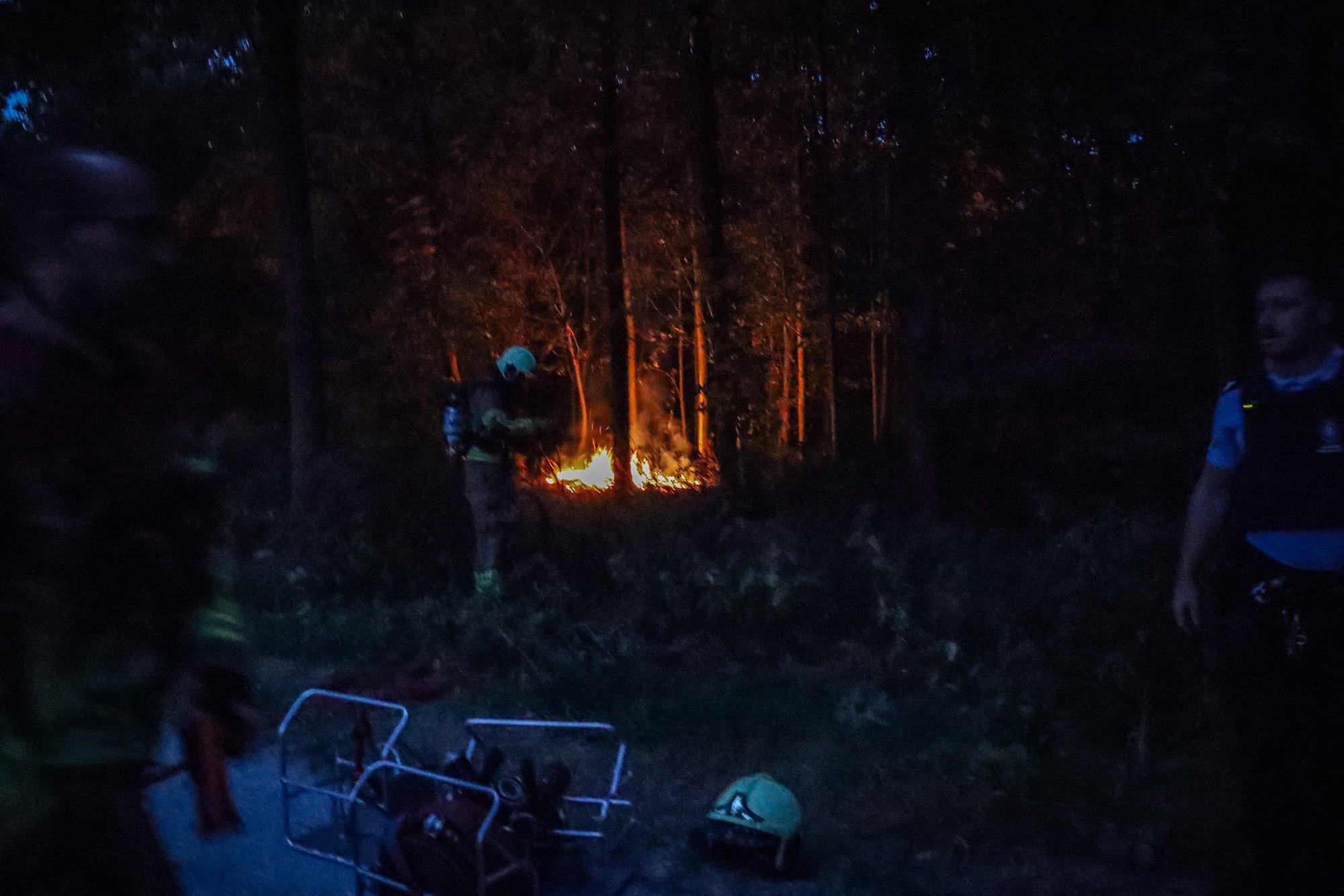 Brand uitgebroken in bos aan Philibert Grimaudpad in Leeuwarden
