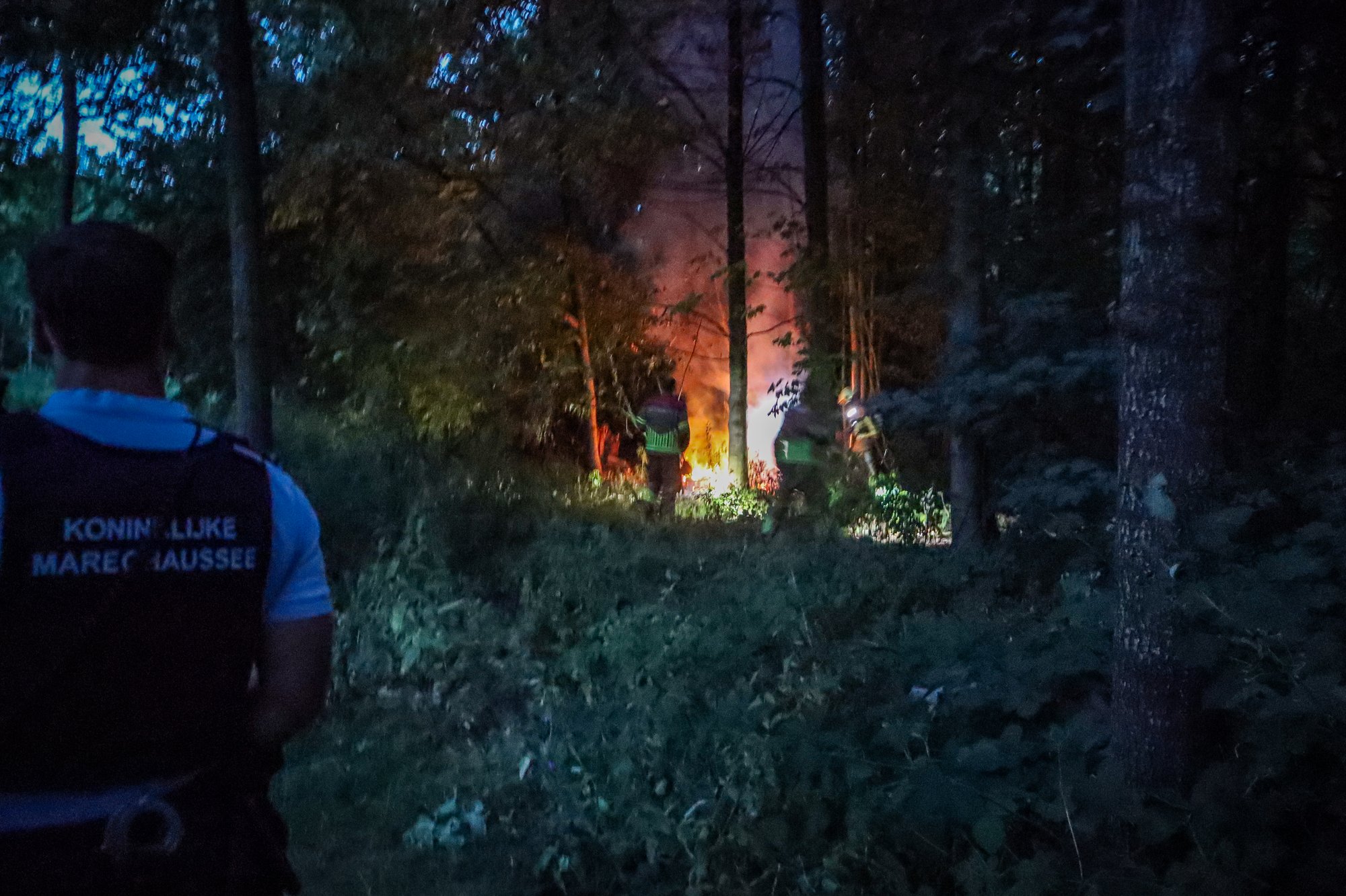 Brand uitgebroken in bos aan Philibert Grimaudpad in Leeuwarden