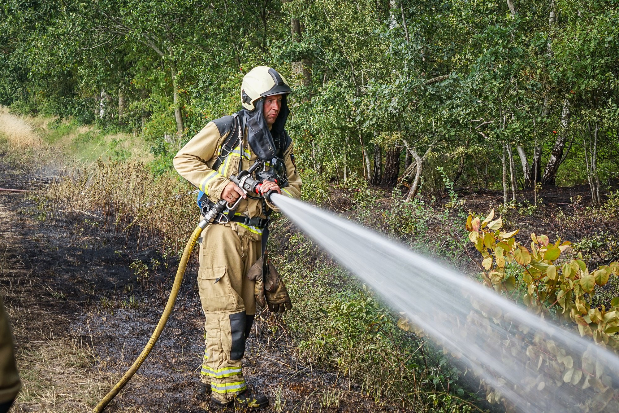 Brandweer rukt uit voor bosbrand in Holsloot