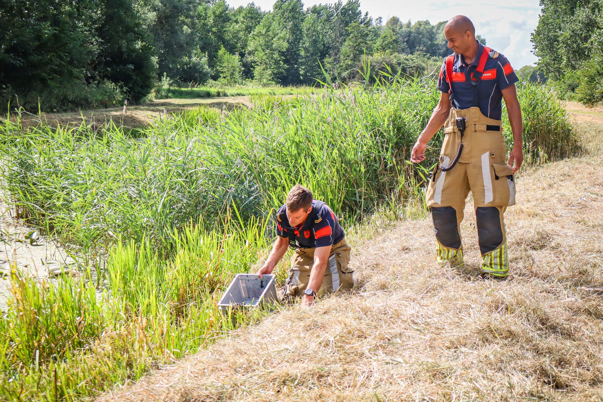Droog gras en takken in brand langs Joe Gallehaskerpad in Jelsum