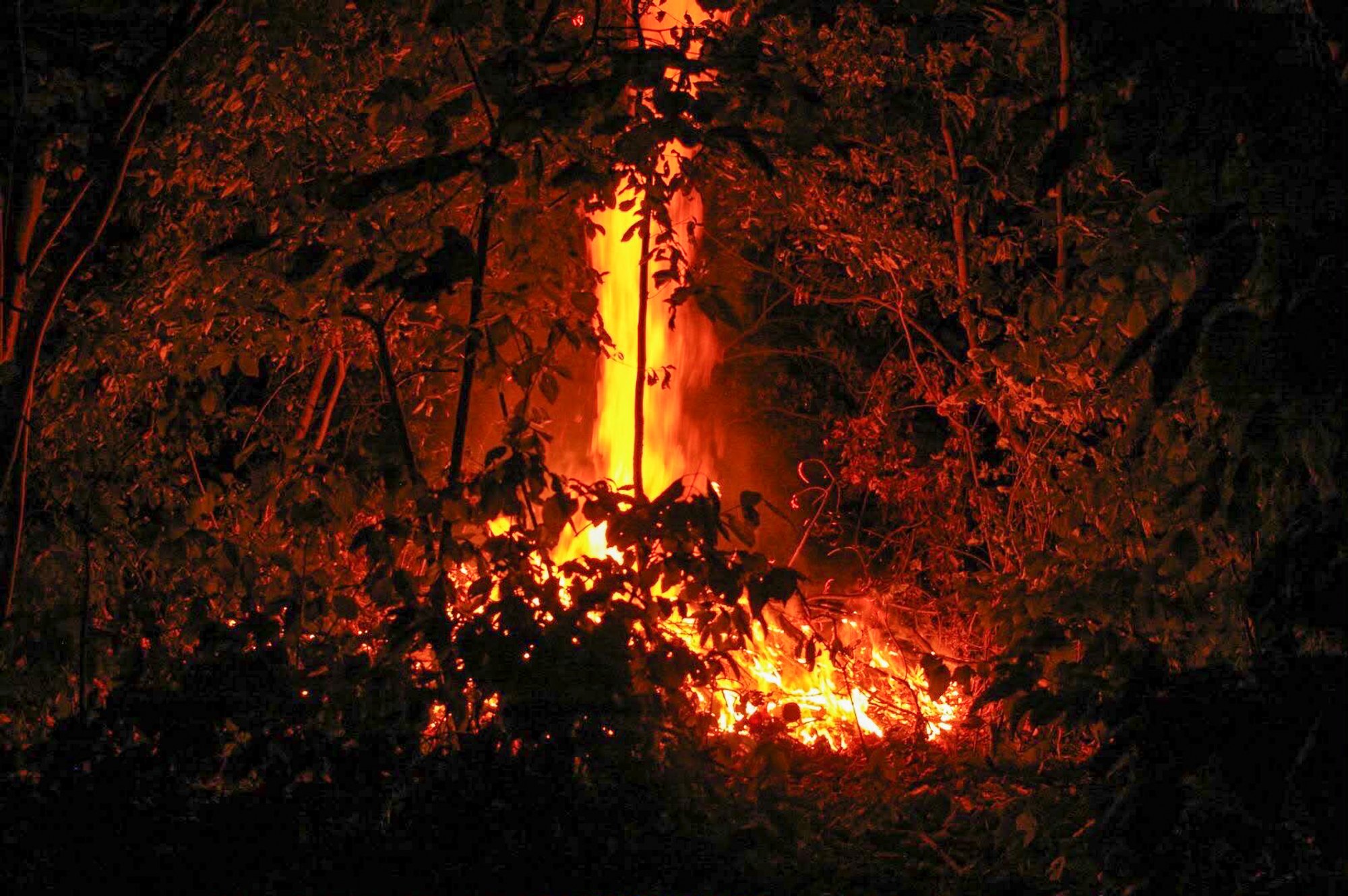 Kleine brand in bosje aan het Kalverdijkje in Leeuwarden